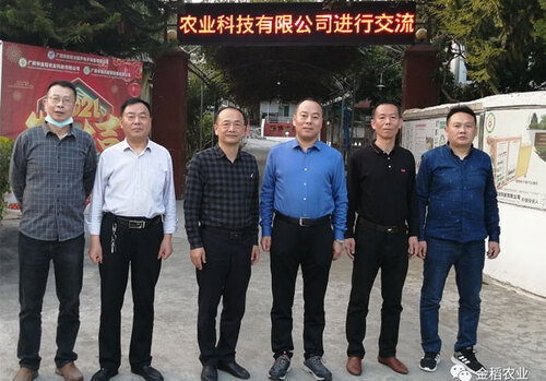 乐玩平台官网：【图片新闻】嘉峪关市新乡镇食用玉米喜获丰收 